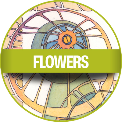 Flowers Gallery