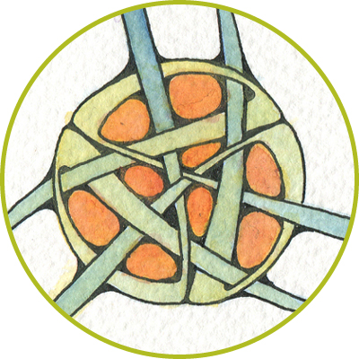 Trefoil Knots