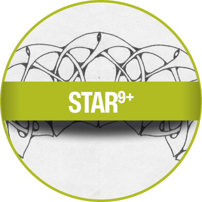 The Bright Star