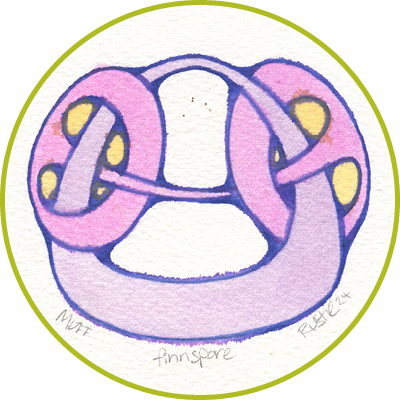 Finnspore